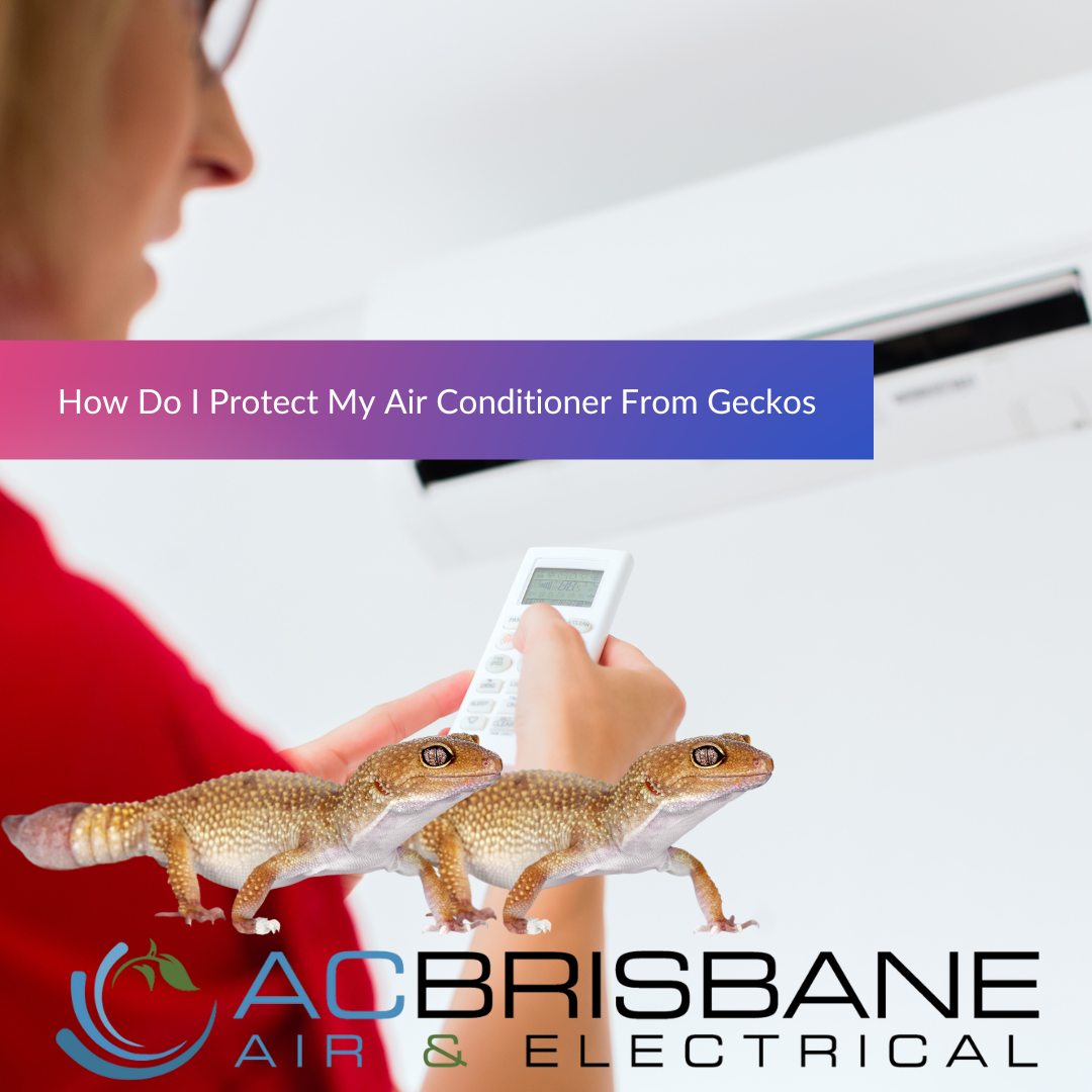 3 Simple Steps To Protect Your Air Conditioner From Geckos: Tips And Tricks