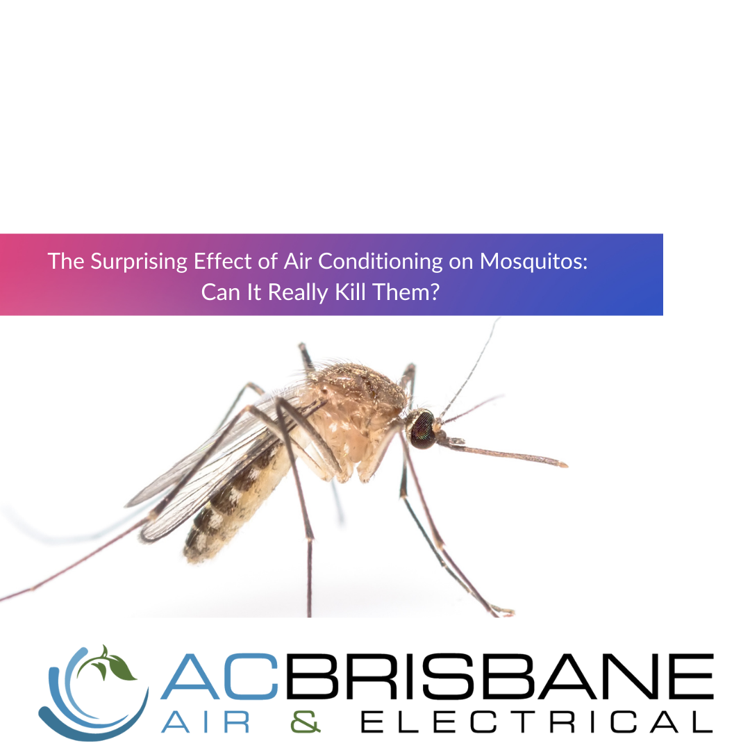 Mosquito-Proofing Your Home: The Role of Air Conditioning