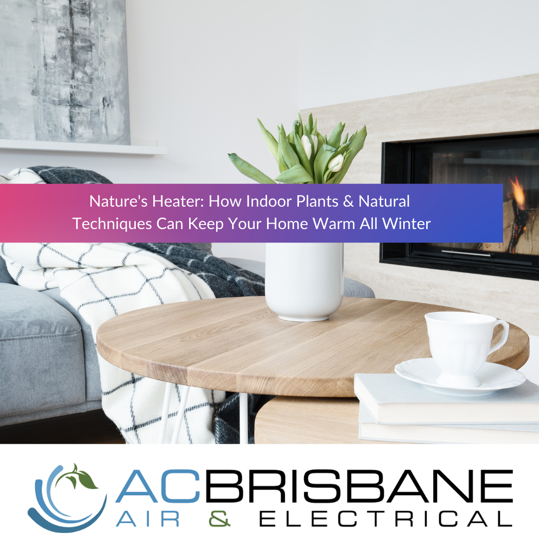 Nature's Heater: How Indoor Plants & Natural Techniques Can Keep Your Home Warm All Winter
