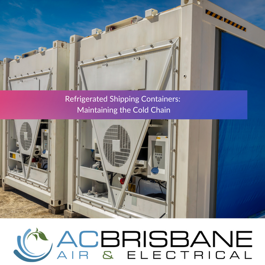 Refrigerated Shipping Containers: Maintaining the Cold Chain